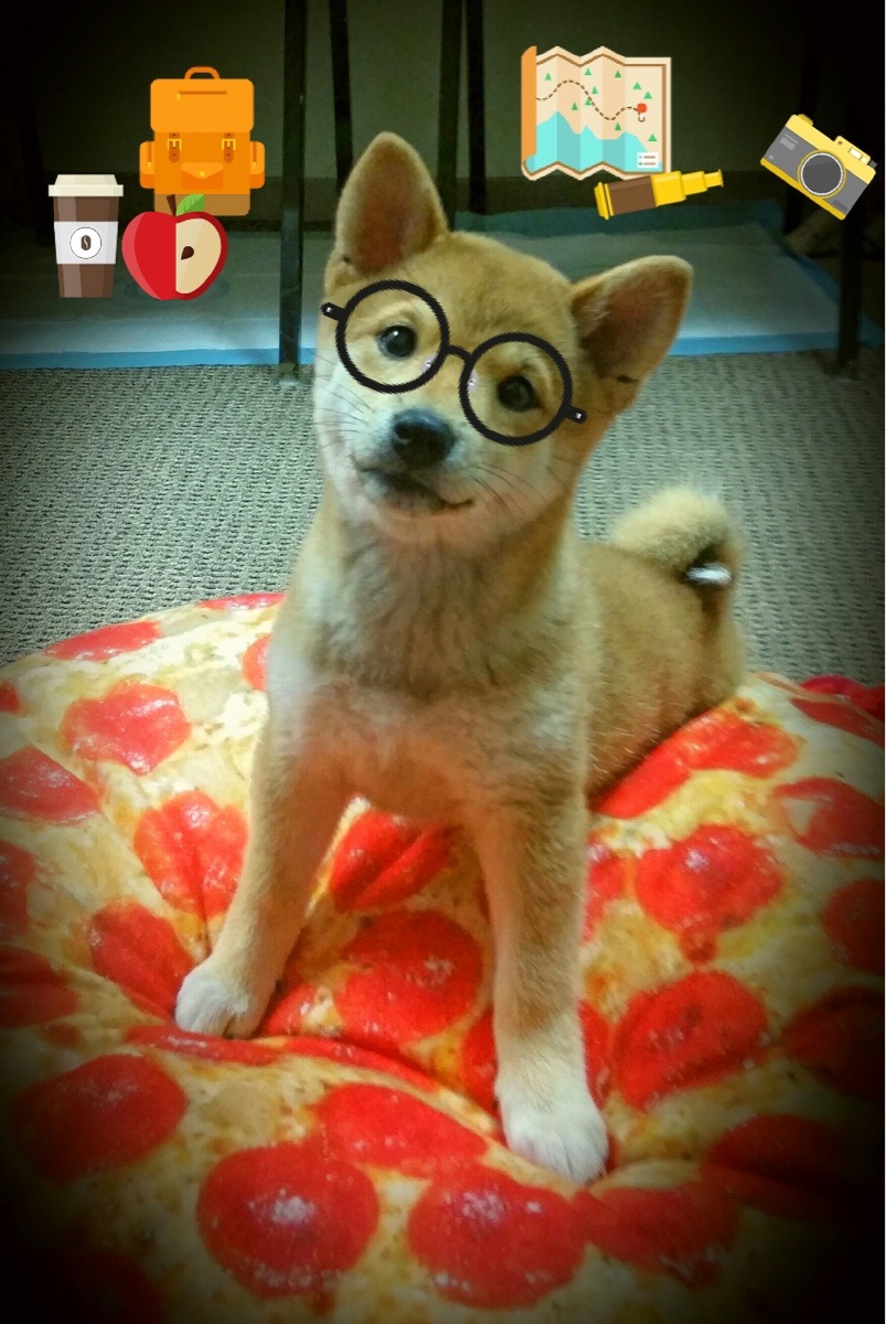 逆袭狂潮与掌控的艺术，当浙江铁血撞碎独行侠，约基奇演绎完美控制论