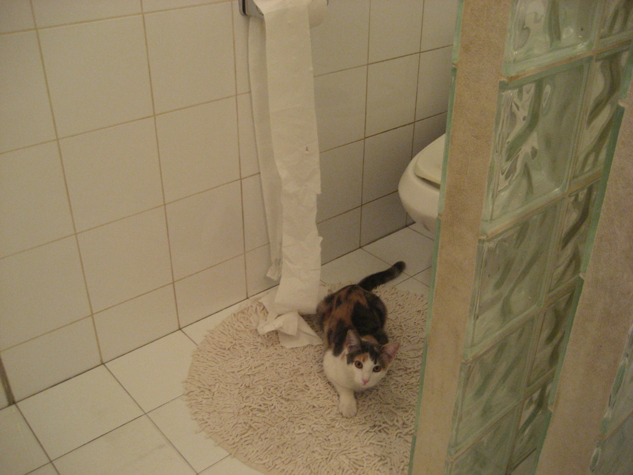 世界排名争夺战之夜，恩佐的一手掌控