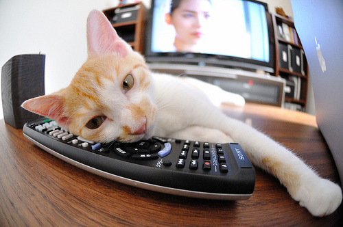 非洲之光，喀麦隆掀翻巨人，萨拉赫定义时代进攻美学