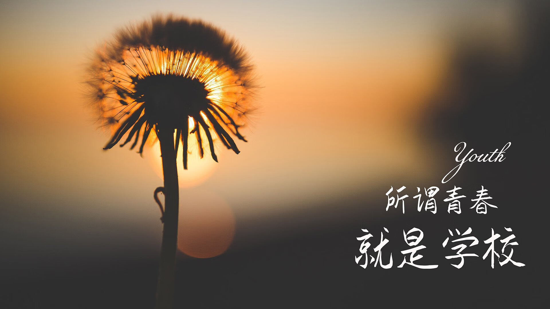 魔幻归化，哈兰德身披波兰战袍，八分之一决赛控球碾压，印度黑马梦碎2026
