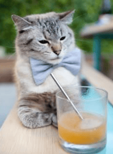 首先，我们来扩展思维，构思一个独特的标题