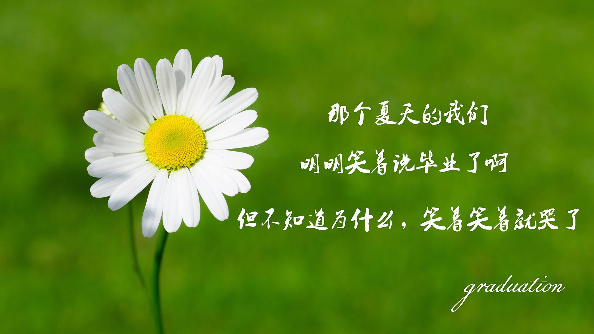 十秒的永恒,当星辰坠落,保加利亚在2026年的那一次唯一逆转