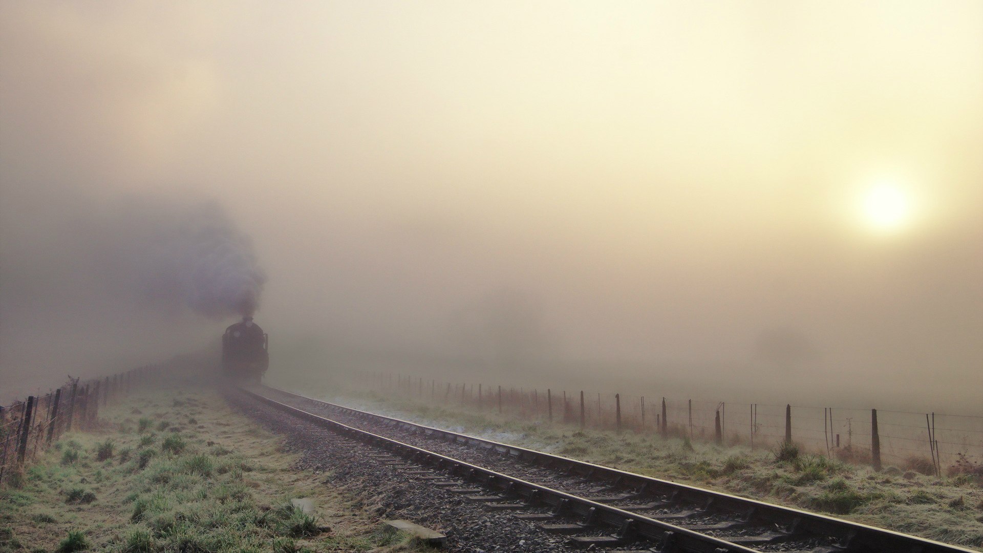 以下是为你构思的文章标题及内容